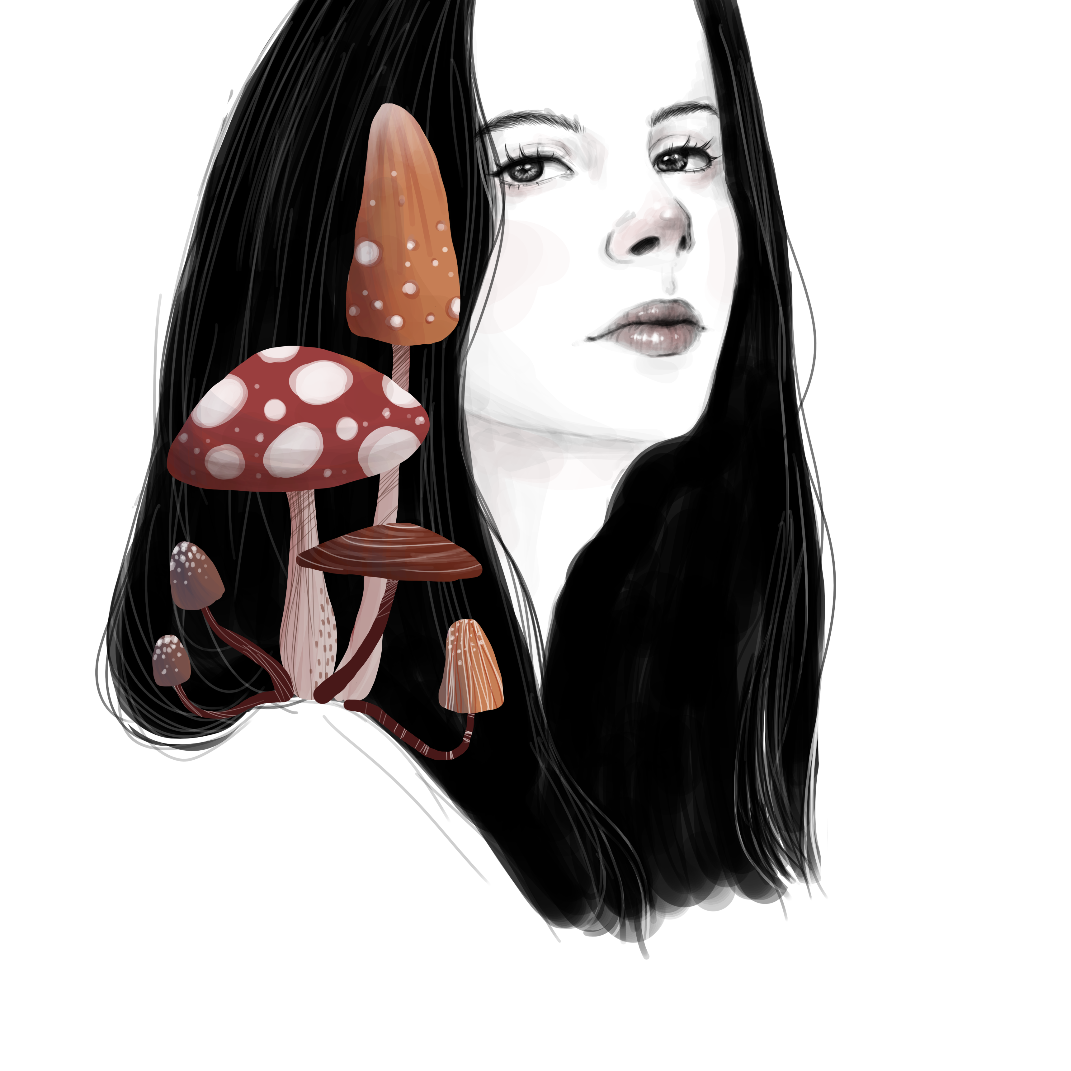 Illustration gallery 4