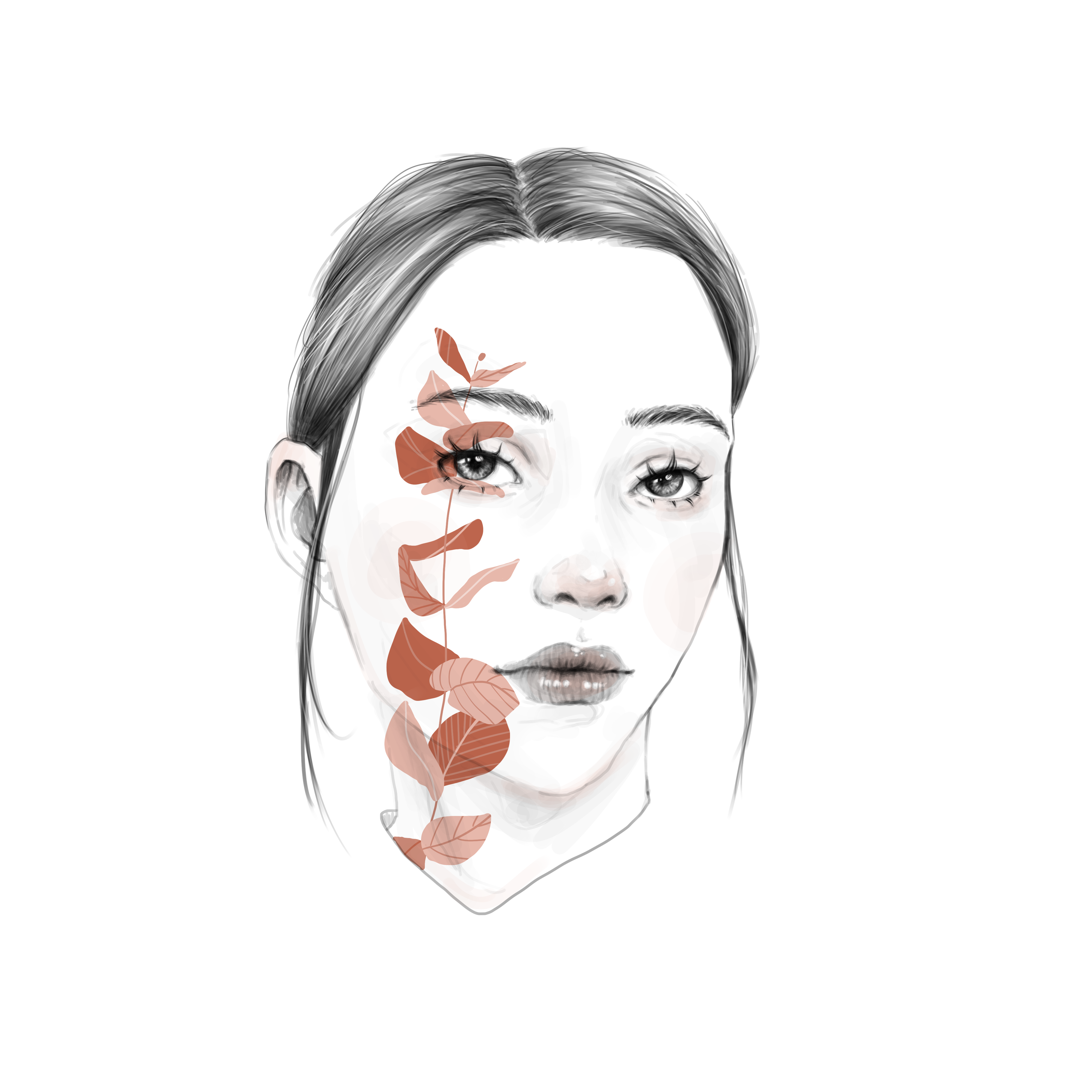 Illustration gallery 5