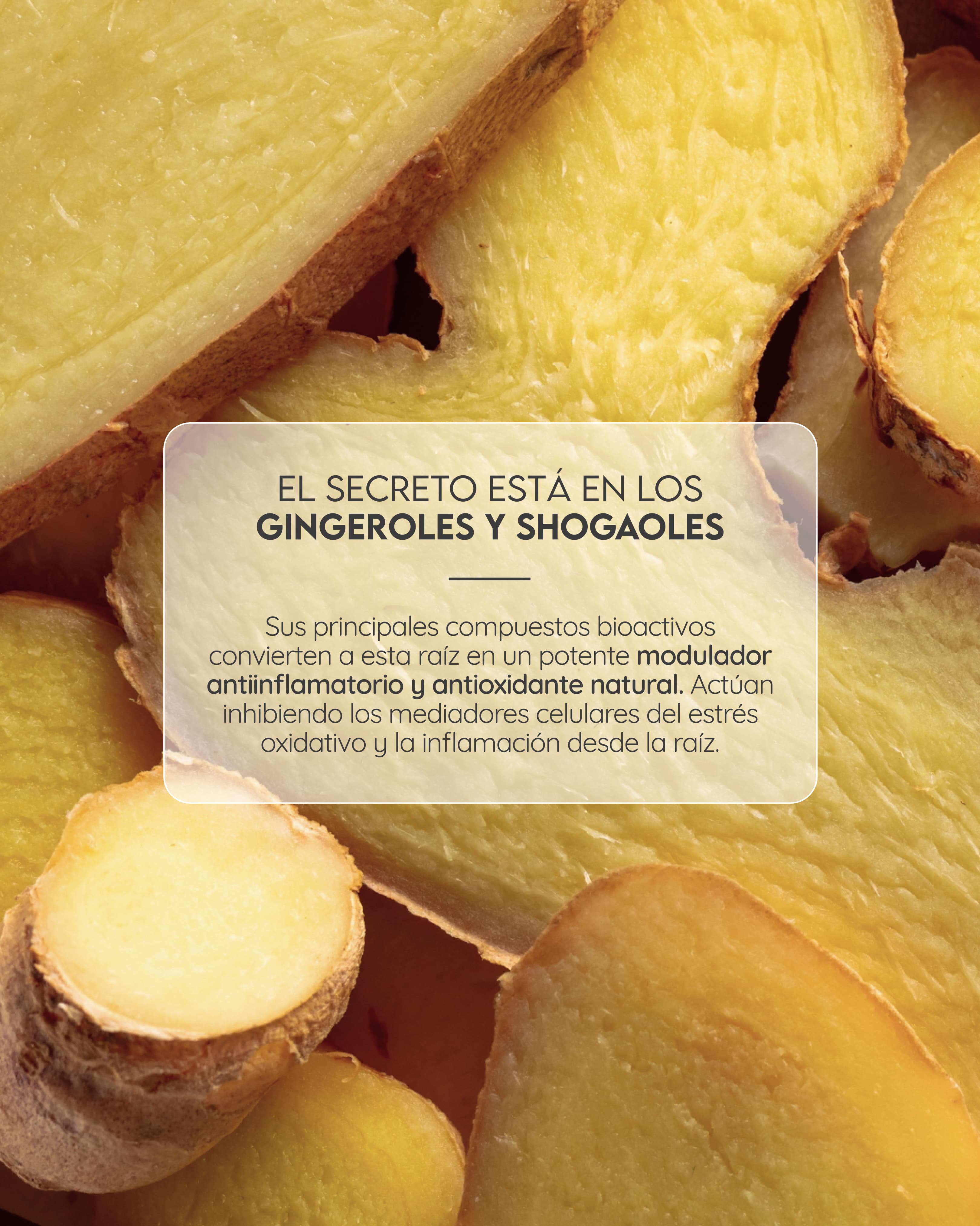 Instagram Design 08