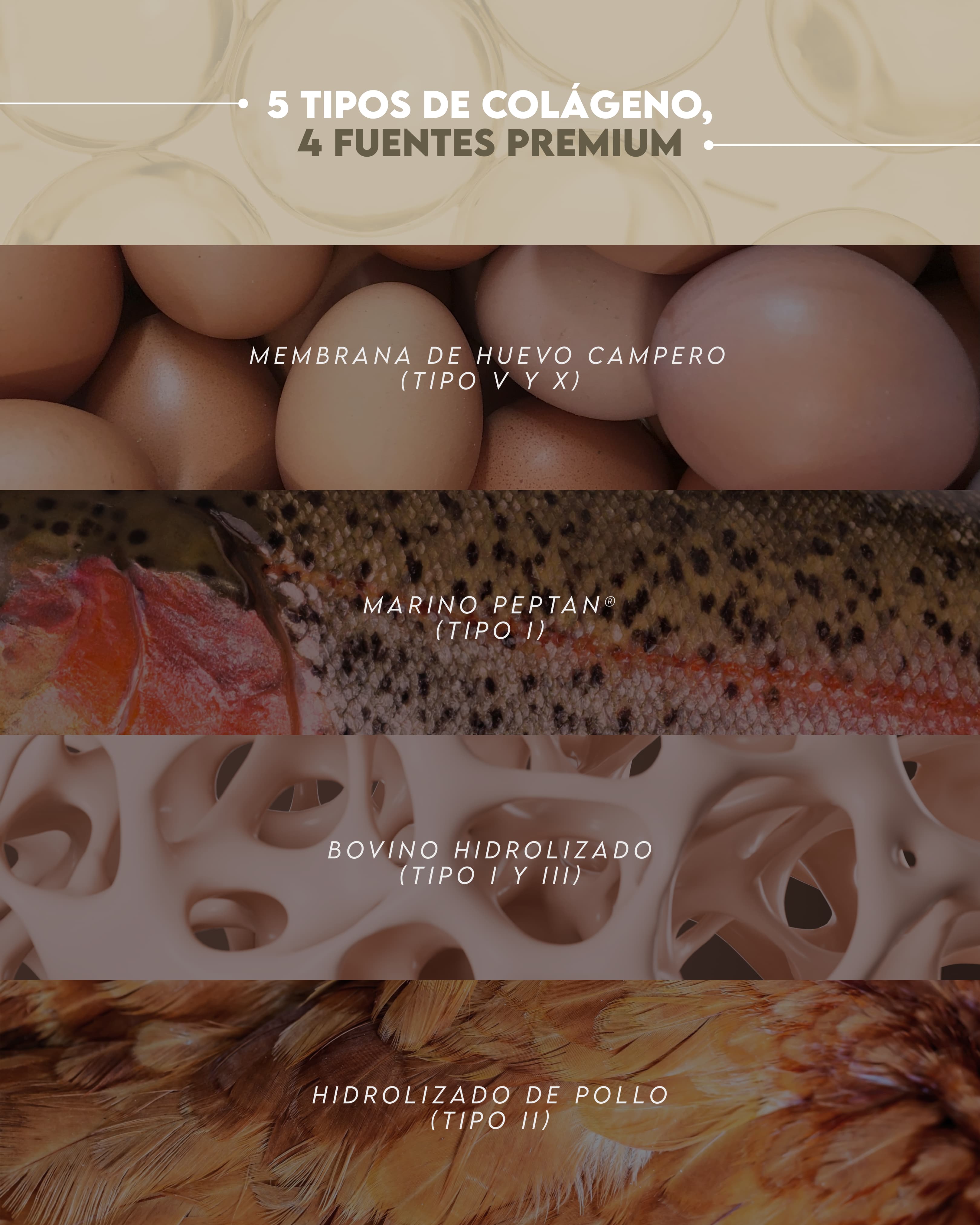 Instagram Design 34